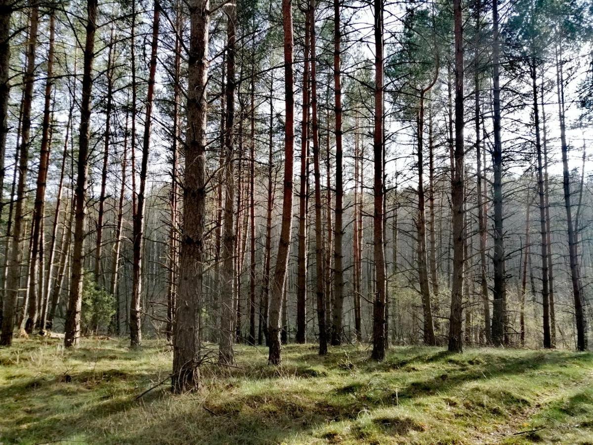 Wodamoja - Apartamenty Nad Jeziorem Stawiguda Exterior foto